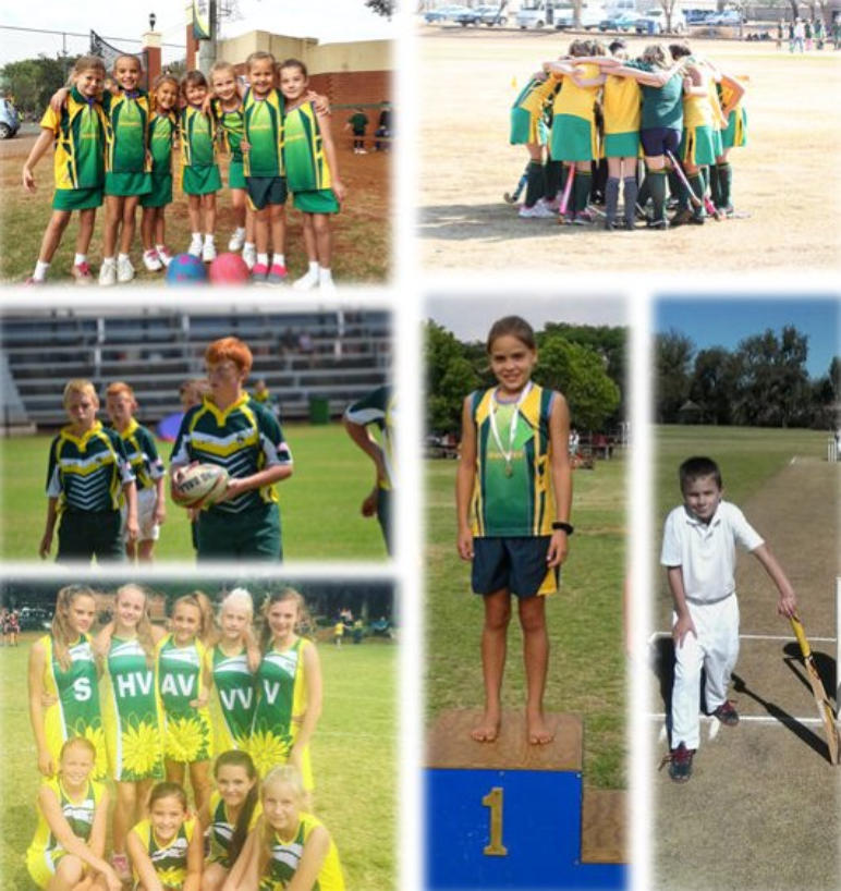 Sport